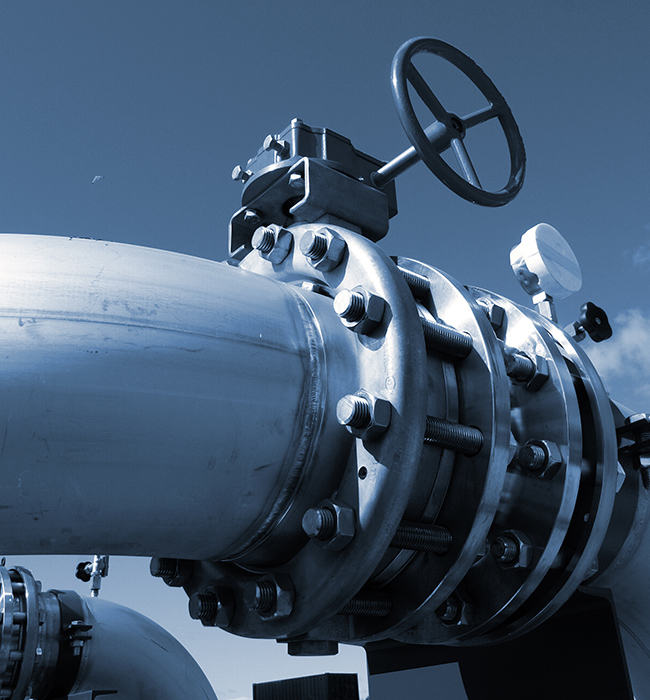 திரவ உலகில் 'கட்டுப்பாட்டு காவலர்'